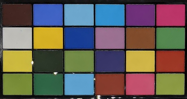 PALETTE PETAL DUST SET OF 48