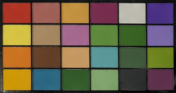PALETTE PETAL DUST SET OF 48